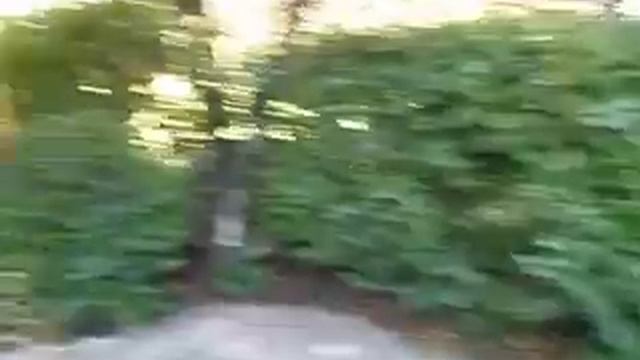 домик на юге Франции смотреть онлайн