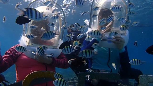 필리핀 세부 헬멧 다이빙 (2) | Helmet Diving (2). Cebu, Philippines. смотреть онлайн