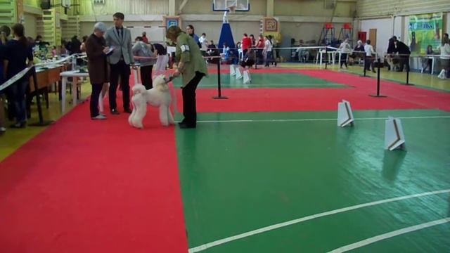 Лума смотреть онлайн