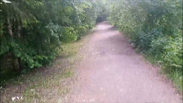 Прогулка по СНТ смотреть онлайн