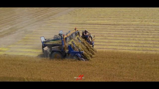 Arrachage de lin // Union GE 220 🌾