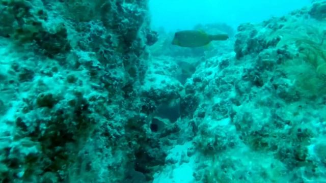 Cod City - drifting up the Main Street. смотреть онлайн