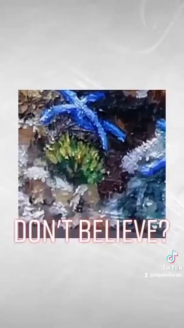 Underwater painting by Olga Belka. Contemporary art. #shorts смотреть онлайн