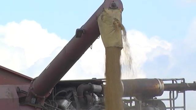 ЖАТВА смотреть онлайн