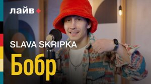 SLAVA SKRIPKA — Бобр | СОЮЗ ЛАЙВ