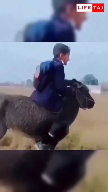 Цена топлива в Таджикистане смотреть онлайн