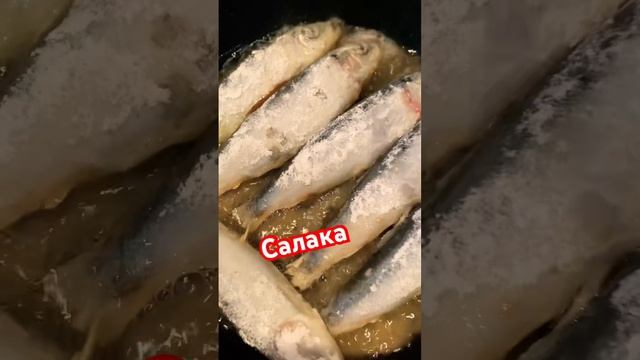Как жарить салаку с кишками?Fish #shorts #short #fish #салака #рыба