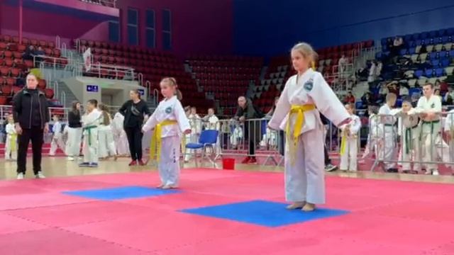 Чемпионат Украины, г. Запорожье13-14.032020. Борьба за выход в финал. смотреть онлайн