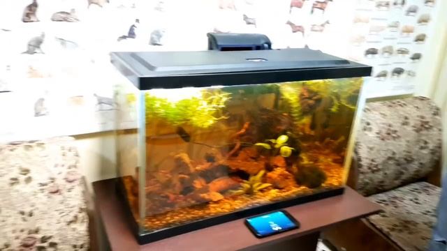 Запуск аквариума 110 литров !!! Часть 2. смотреть онлайн