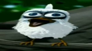 ПТИЦА КРИЧИТ