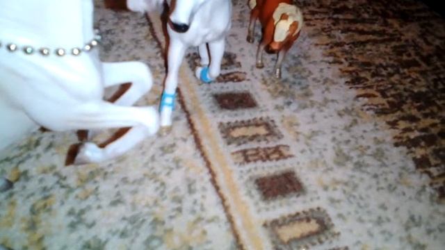 Моя коллекция лошадей schleich и коллекта смотреть онлайн