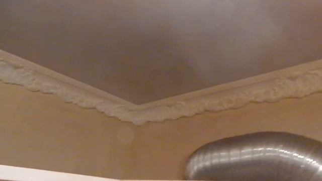 Скотина! Потоп