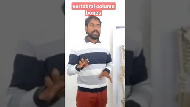 vertebral column bones#pharmacy #medicalstudent #medical #bones #vertebral #column# bones#medical смотреть онлайн