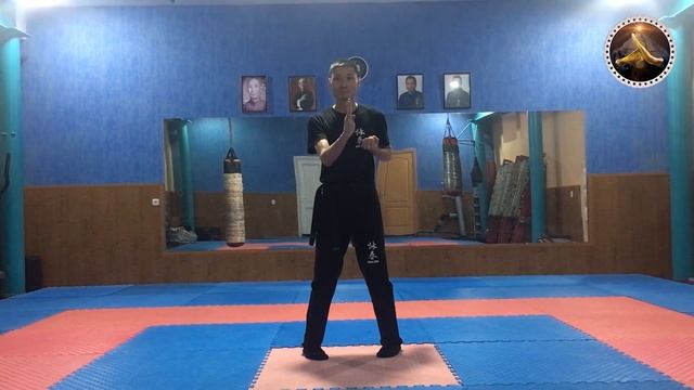 Вин Чун. Сиу Лим Тао (Siu Lim Tao) Wing Chun смотреть онлайн