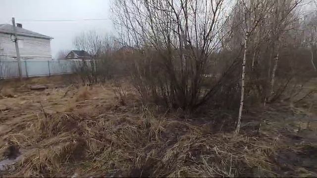 WhatsApp Video 2025-03-13 At 12.49.22