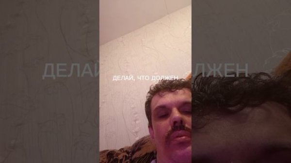 популярный сериал шеф 7 сезон с 1 по 20 серию