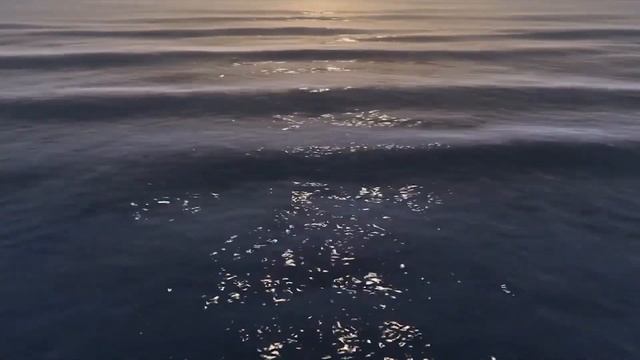 3D Ocean Animation || Realistic Water Simulation || Phoenix FD || 3DS MAX || Short Film смотреть онлайн