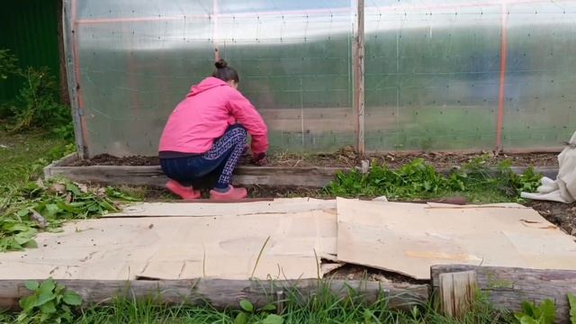 Нет Мульчи = Прополка! Срочно нужен Картон. Старые ветки — в Огонь! Готовлю грядку под Пряные травы смотреть онлайн
