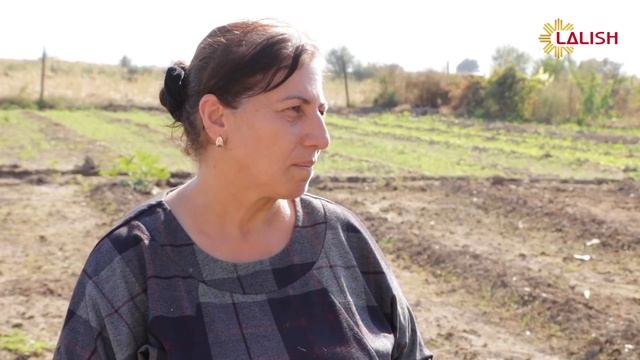 Ji Gond Hetani Gond - Kamshlu