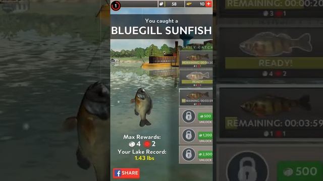 Rapala Fishing Android Gameplay [60fps] смотреть онлайн