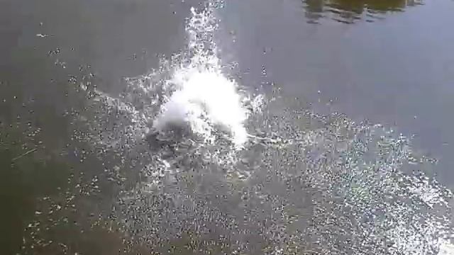 Стрибок.3gp смотреть онлайн