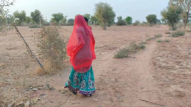 jangal me mangal , Marwadi desi video Rajasthan Desi video (XXX) смотреть онлайн