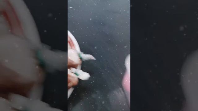 Dessert Review April 2020 CB Period