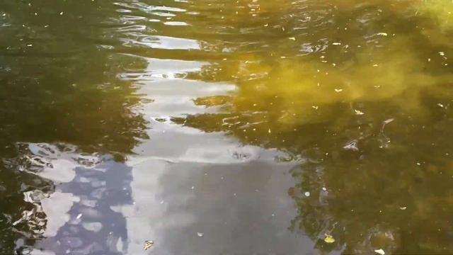 На речке в Житловке