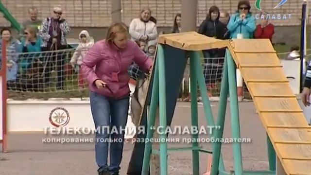 Кинологи соревнуются смотреть онлайн