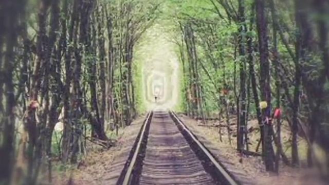 Tunnel of love in Ukraine ।। टनल ऑफ लव ।। #324 смотреть онлайн