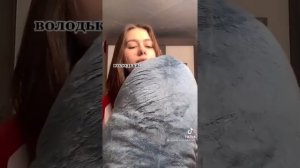 Подборка видео Гарри Поттера из тик тока