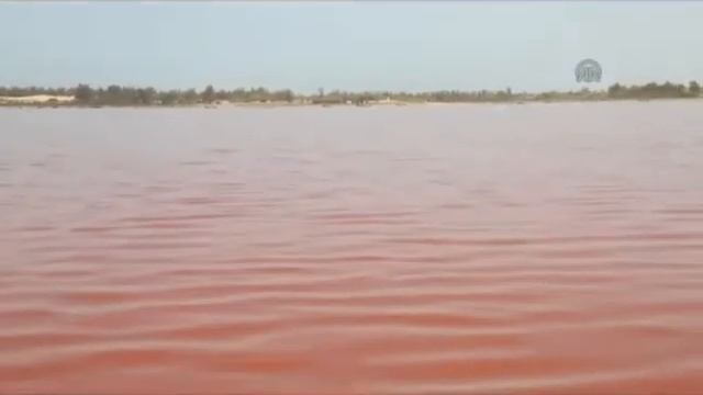 Senegal's Pink Lake смотреть онлайн