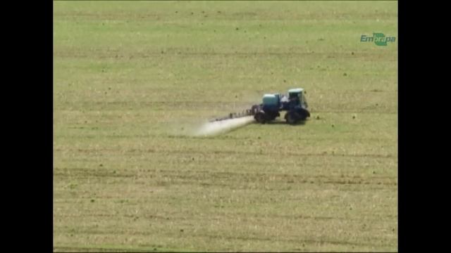 Sistema cultivance de produção: rotação de cultivares de soja смотреть онлайн