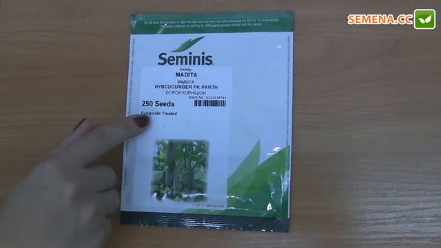 Мадита F1 огурец (Seminis) Антифейк
