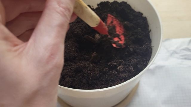 СЕЮ ОВОЩНЛЙ ФЕЗАЛИС СО ВКУСОМ АНАНАСА смотреть онлайн