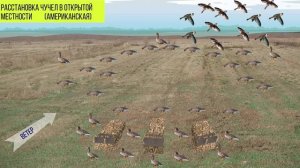 Расстановка гусиных чучел с созданием тени