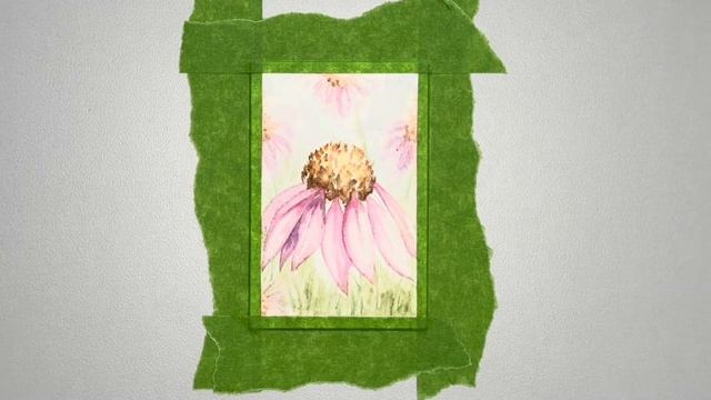 Painting echinacea (purple coneflower) in watercolor смотреть онлайн