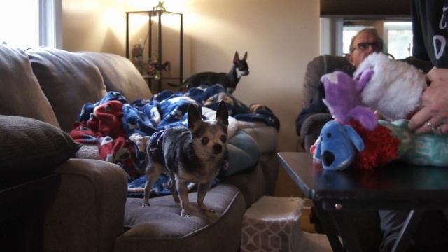 Living In Rockford: Family Video