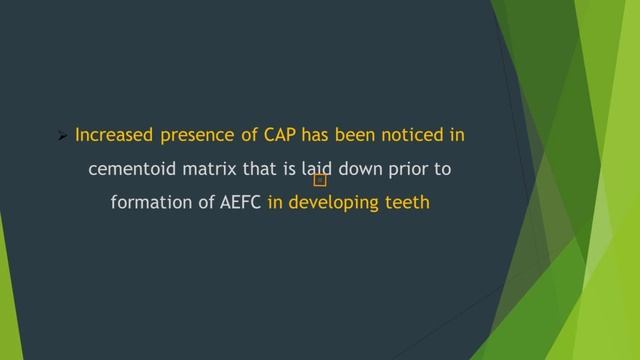 CEMENTUM ATTACHMENT PROTEIN #CAP #PERIODONTALREGENEREATION #CEMENTUM #CEMENTOIDMATRIX #AEFC #DENTAL смотреть онлайн