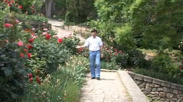 группа Девран-Чан ширин смотреть онлайн