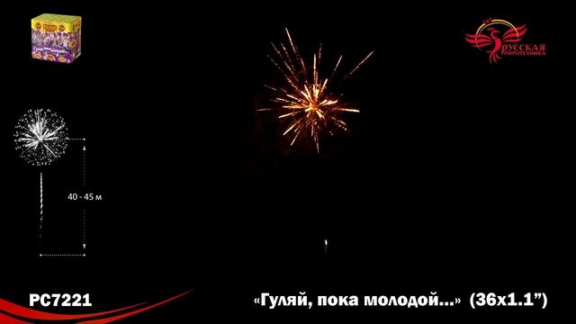 PC7221 смотреть онлайн