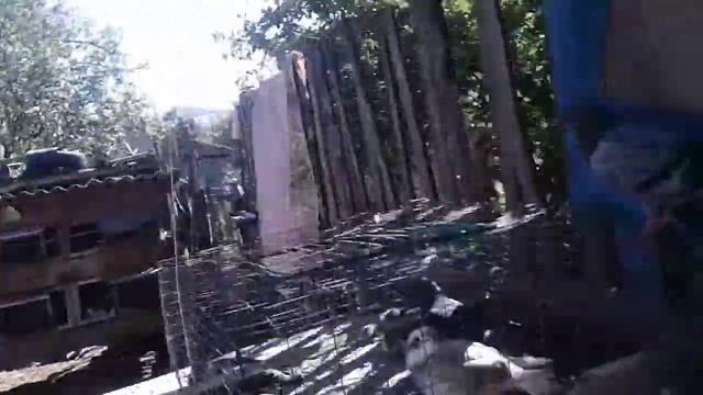 Нові голуби смотреть онлайн