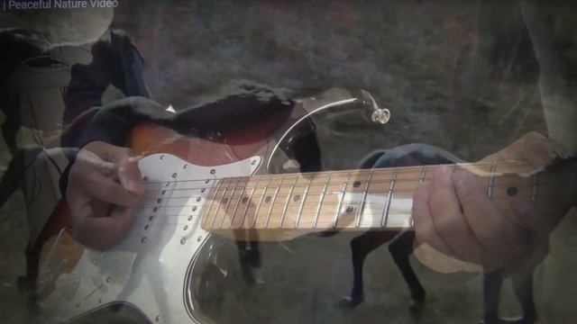 Caroll of the Bells aka Sarajevo /guitar cover Frank Nguyen смотреть онлайн