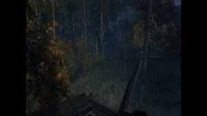 МетроИсход.Мое прохождение Metro Exodus. Глава 8 Тайга. Часть 7 Ночной лес. Рюкзак.