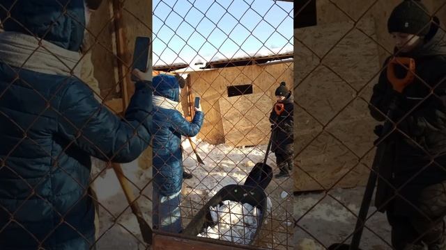 Уборка в приюте смотреть онлайн