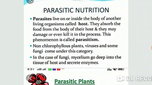 Class-6 Science Chapter -1 Food (Heterotrophic nutrition) смотреть онлайн