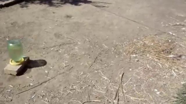 выход в эфир после короткого отпуска. смотреть онлайн