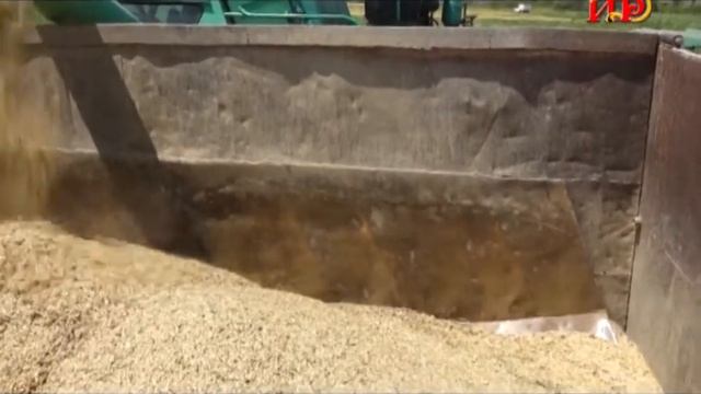 Уборочная страда в самом разгаре смотреть онлайн