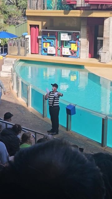 Rob the Seaworld mime #shorts #seaworld #orlando #funshorts смотреть онлайн