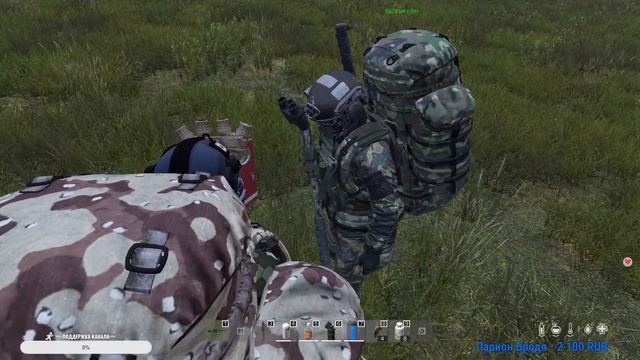 DayZ новоселье. Стрим
